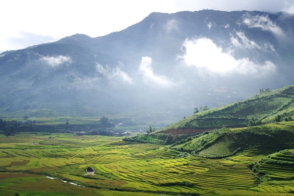 11 Days / 10 Nights -Sapa TuLe  MuCangChai MocChau PuLuong - photo 28